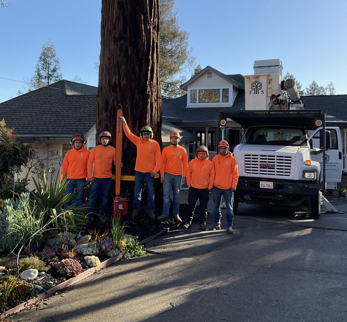 Fernandez Tree Services Team